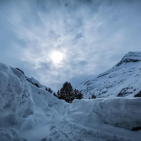 Σαλέ Les Lupins Zinal