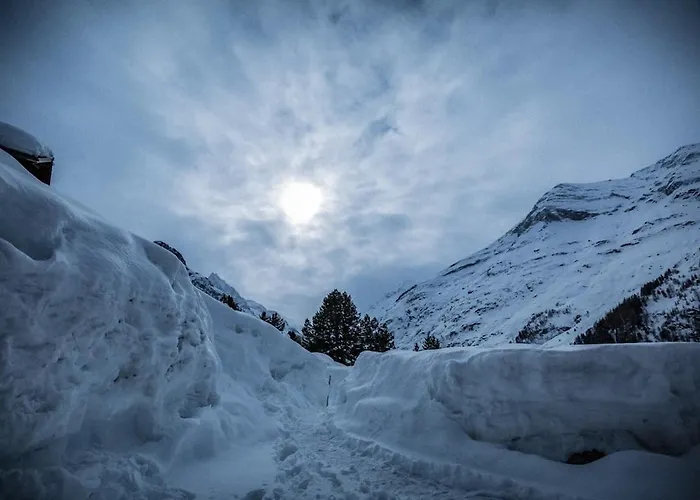 Σαλέ Les Lupins Zinal